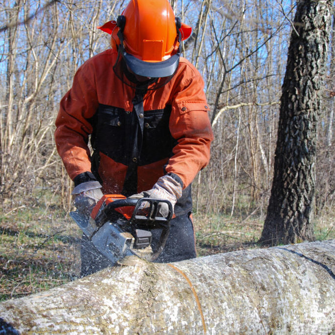 worker using a chainsaw